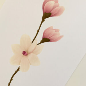 magnolia art print