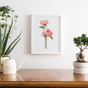 peony art print