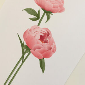 peony art print