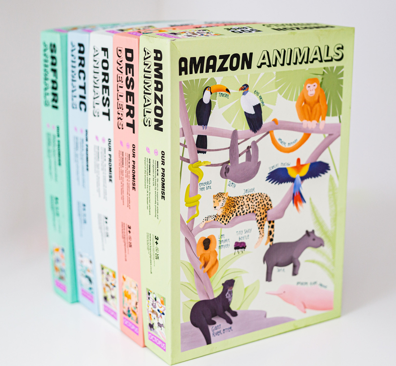 Amazon animals illustration