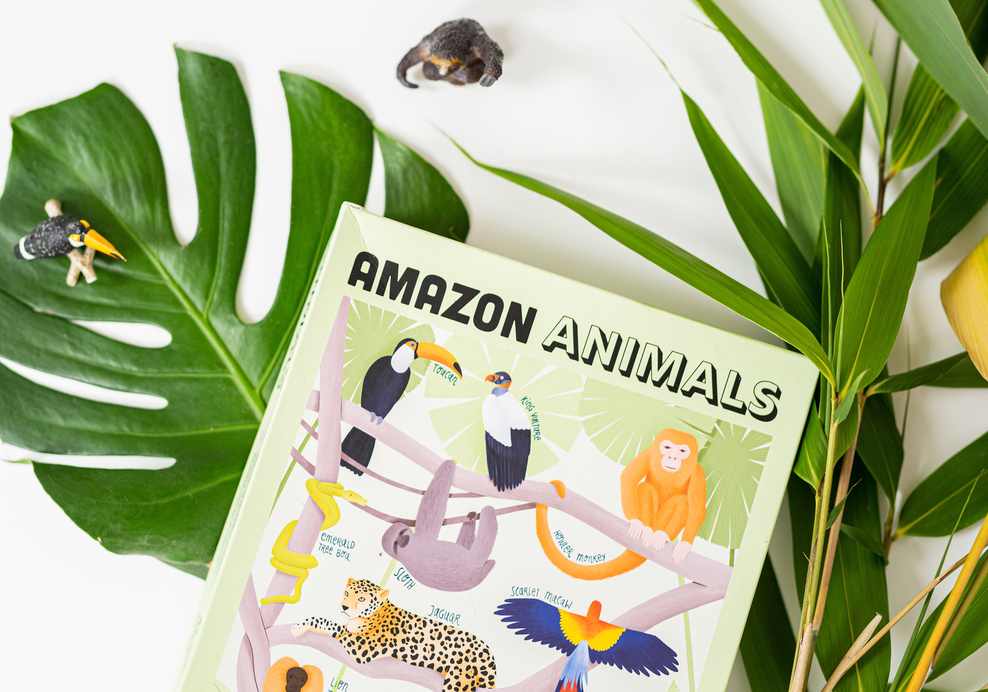 Amazon animals illustration