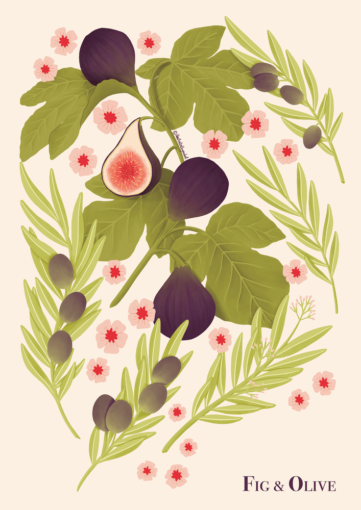 Fig and olive illustration by freelance illustrator Mabel Sorrentino