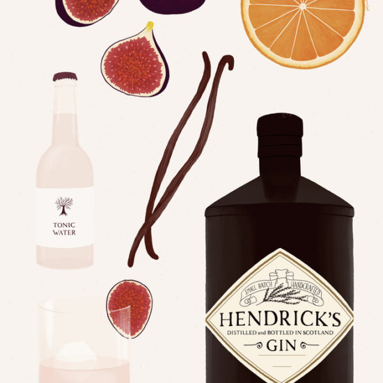 Gin bottle illustration