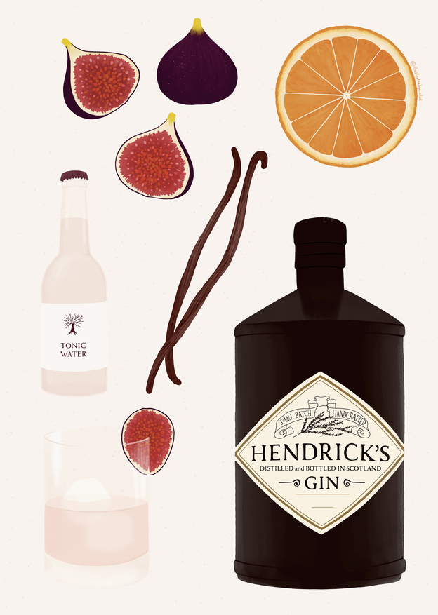 Gin bottle illustration