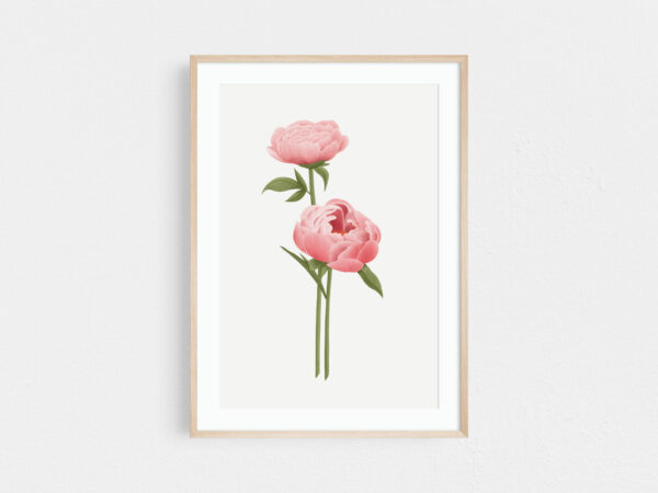 Peony art print