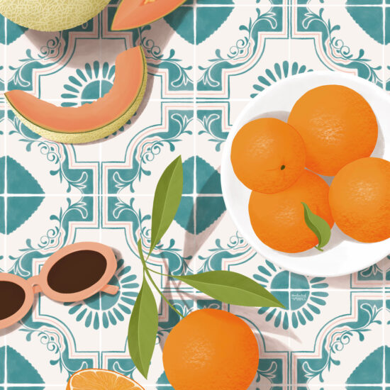 Melon and orange illustration