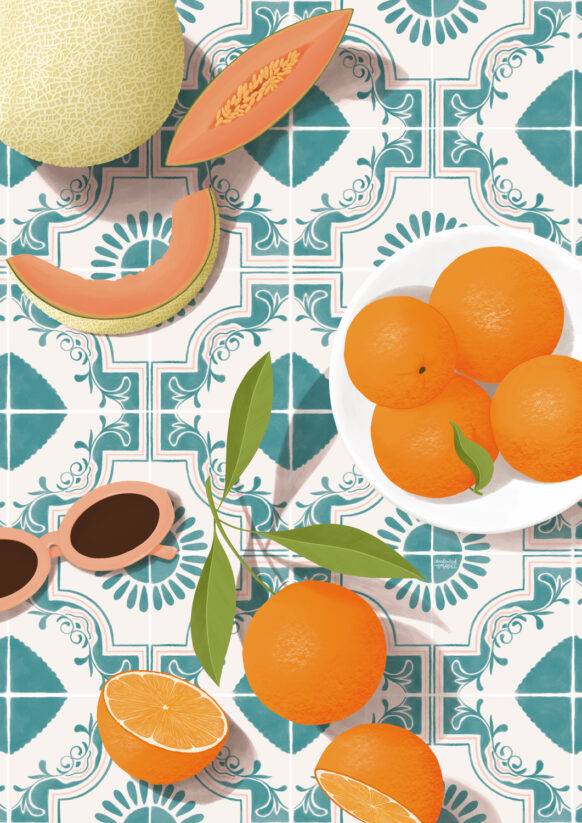 Melon and orange illustration