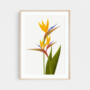 Birds of paradise print