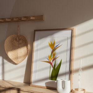 Birds of paradise print