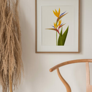 Birds of paradise print