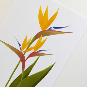 Birds of paradise print