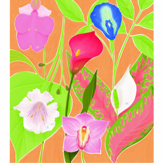 Flower Poster Illustration