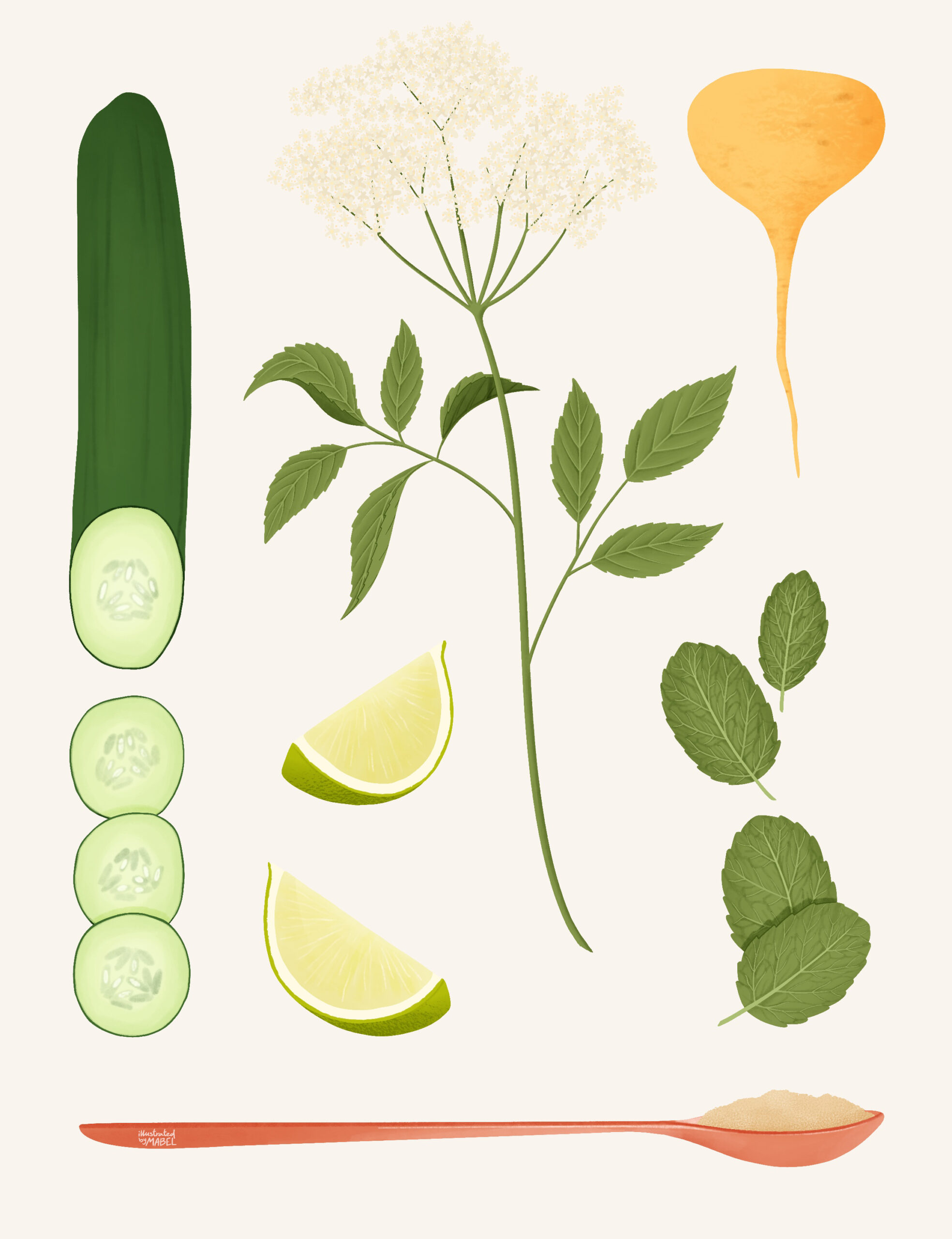 Mock Mojito Ingredients Illustration