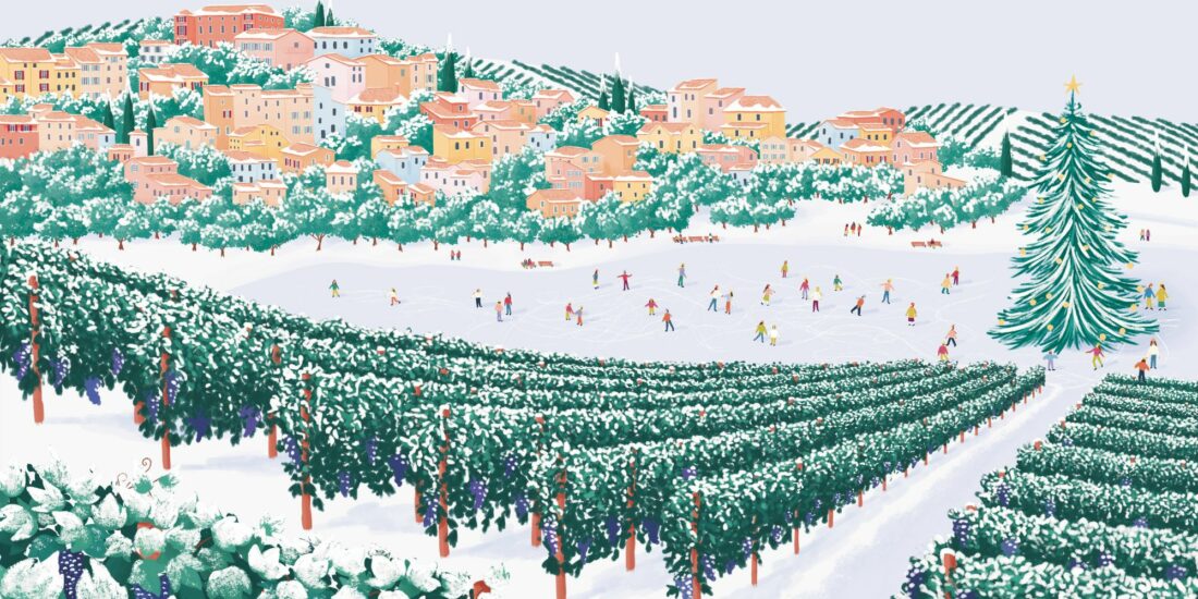 Winter vineyard illustration for St Dalfour, Blog post cover