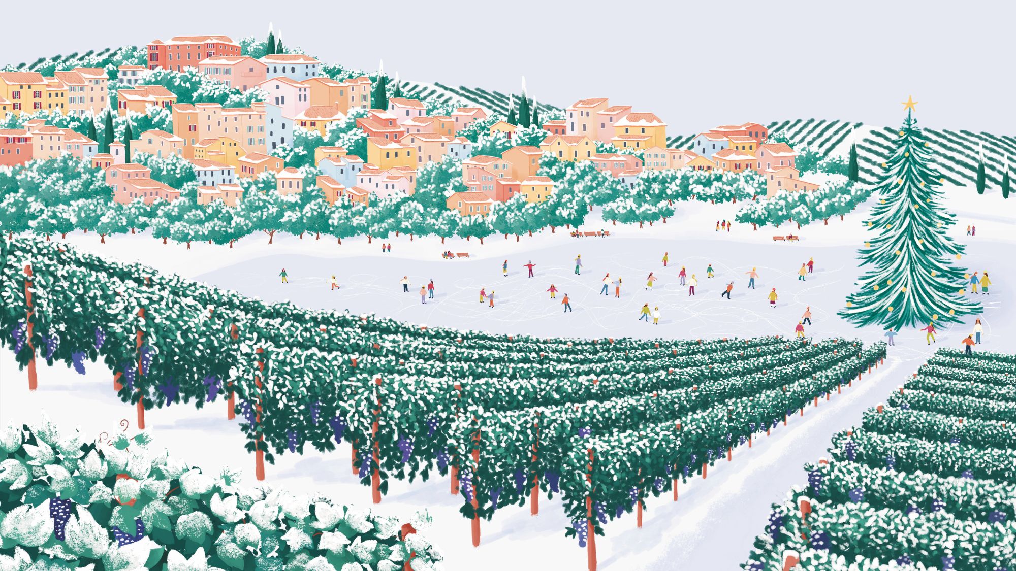 Winter vineyard illustration for St Dalfour, Blog post cover