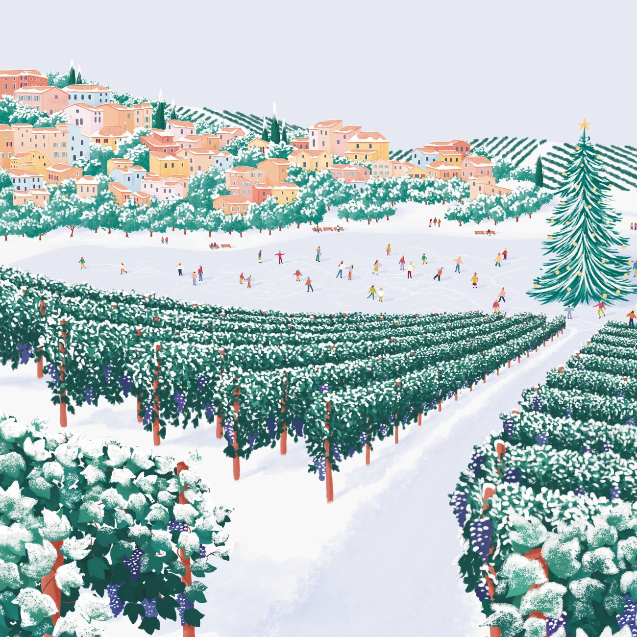 French vineyard illustration in winter for St Dalfour